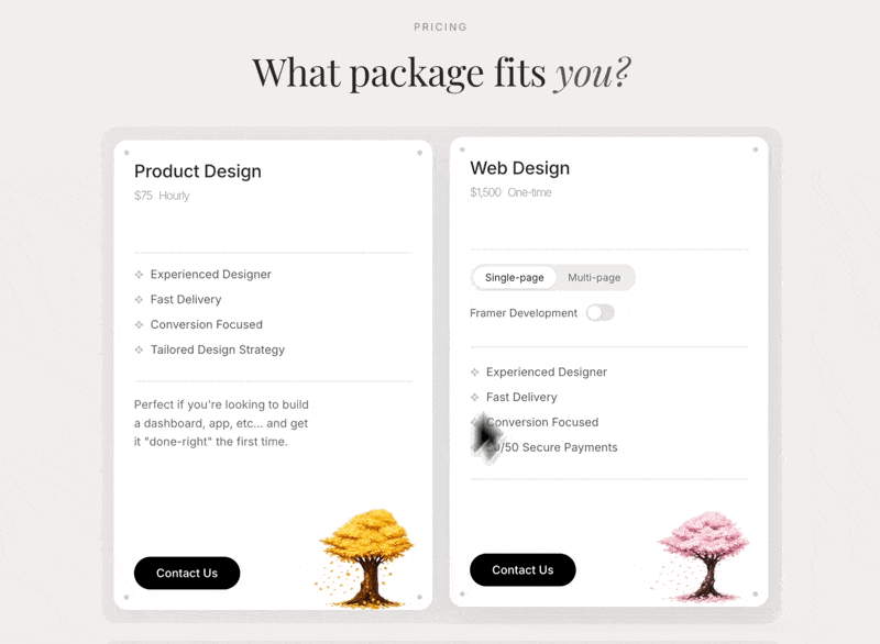 What Package Fits You